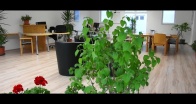 Coworking Space